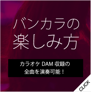 バンカラの楽しみ方